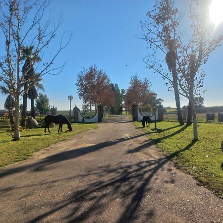 Villa Cortijo La Amazona Siviglia Esterno foto