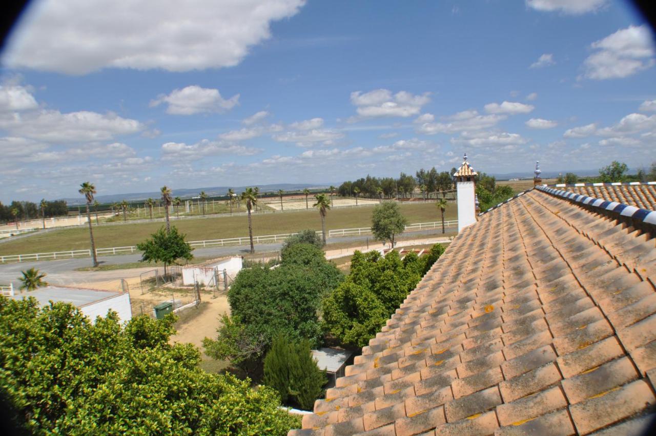 Villa Cortijo La Amazona Siviglia Esterno foto