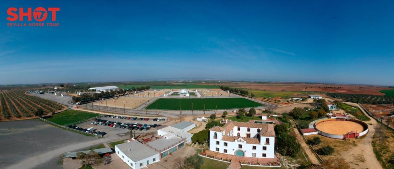 Villa Cortijo La Amazona Siviglia Esterno foto